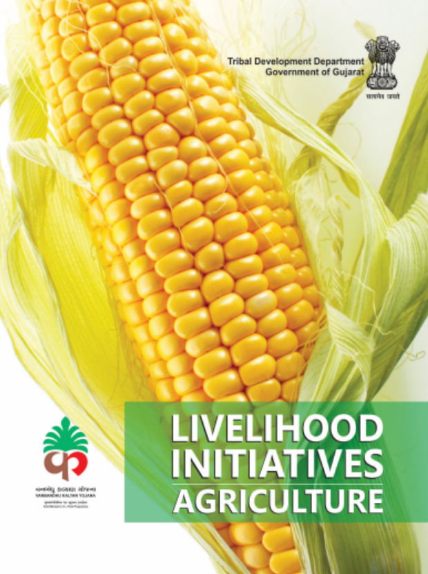Livelihood Initiatives - Agriculture